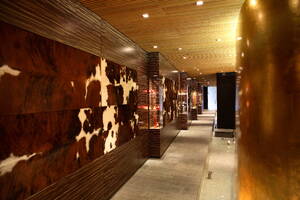 ELSE-Club in Moskau/RUS